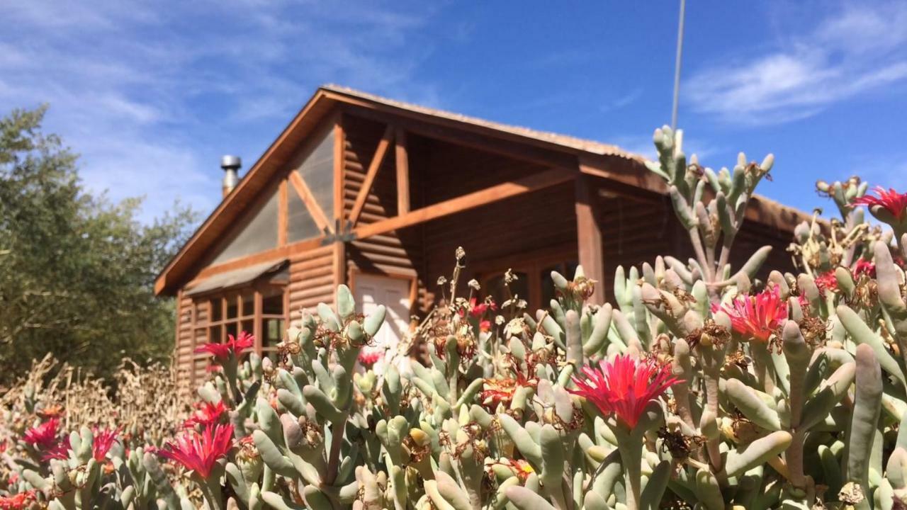 Cabanas Dona Juanita San Pedro de Atacama Kültér fotó